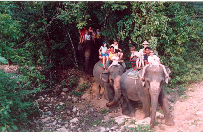 Barali Beach Resort and Spa Koh Chang