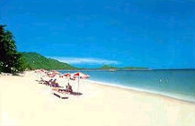 Aloha Resort Koh Samui