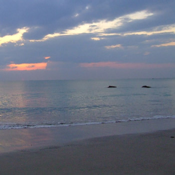 Haadson Resort Khao Lak