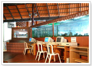 Phi Phi Natural Resort