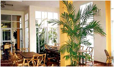 Aloha Villa Hotel Phuket