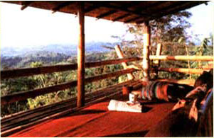 Phu Chaisai Mountain Resort and Spa Chiang Rai