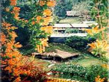 Mae Sa Valley Craft Village Chiang Mai