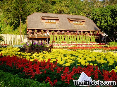 Krisdadoi Chiangmai Resort Chiang Mai