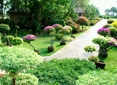 Botany Beach Resort Pattaya
