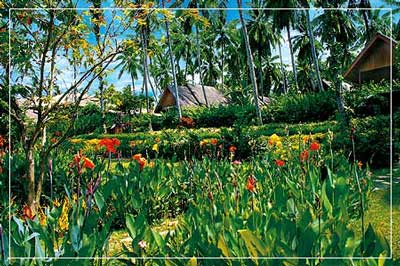 Coral Bay Resort and Spa Koh Samui Coral Bay Resort and Spa Koh Samui