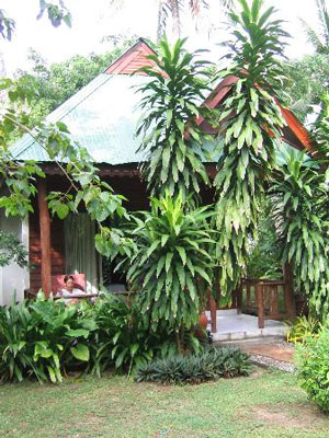 Sand Sea Resort Krabi