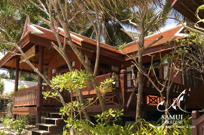 Samui Paradise Chaweng Beach Resort and Spa Koh Samui Samui Paradise Chaweng Beach Resort and Spa Koh Samui