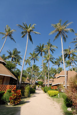 Koh Tao Coral Grand Resort Koh Tao Coral Grand Resort