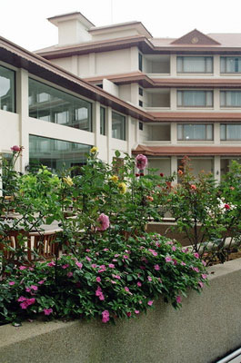 The River House Resort and Spa Chiang Rai