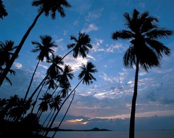 Anantara Resort Koh Samui