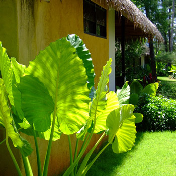 Haadson Resort Khao Lak