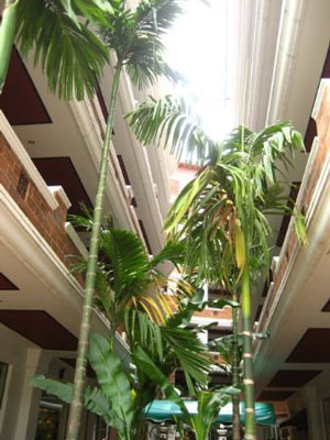Raming Lodge Hotel Chiang Mai