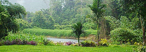 Khao Sok Riverside Cottages Hotel General Picture Khao Sok Riverside Cottages Hotel General Picture