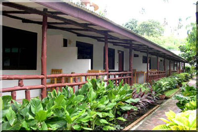 Samui Island Beach Resort and Hotel Koh Samui Samui Island Beach Resort and Hotel Koh Samui