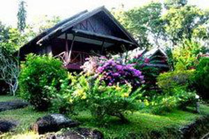 Orchid Suites Hotel Koh Samui Orchid Suites Hotel Koh Samui