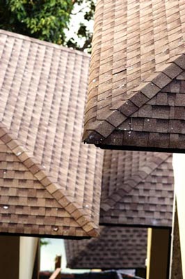 Blue Hill Resort Koh Phangan General Picture