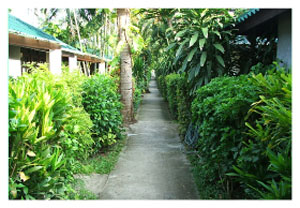 Evergreen Resort Koh Samui General Picture Evergreen Resort Koh Samui General Picture