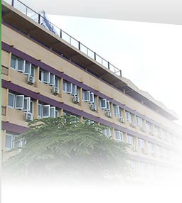 Oasis Hotel Chiang Mai