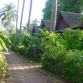 Shades Bungalows Hotel Koh Samui Shades Bungalows Hotel Koh Samui
