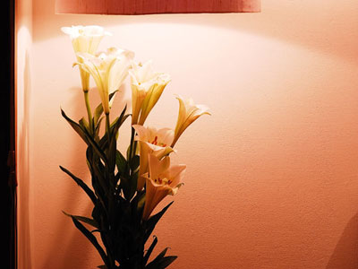 Woodlands Suites Serviced Residences Hotel Pattaya