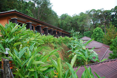 Absolute Patong Ville Hotel Phuket