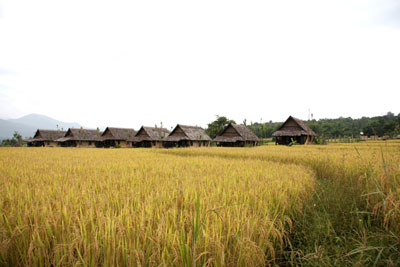 Phu Pai Art Resort