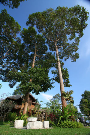 Siam Society Beach Resort Chumphon General Picture Siam Society Beach Resort Chumphon General Picture