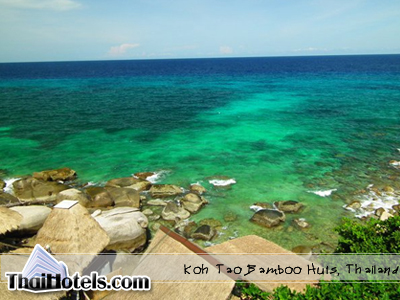 Ko Tao Bamboo Huts Hotel Koh Tao General Picture