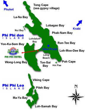 Phi Phi Hotel and Phi Phi Banyan Villa