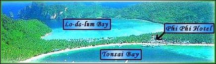 Phi Phi Hotel and Phi Phi Banyan Villa