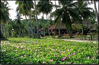 Phi Phi Island Village Beach Resort and Spa