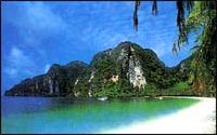 Phi Phi Hotel and Phi Phi Banyan Villa