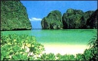 Phi Phi Hotel and Phi Phi Banyan Villa