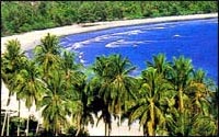 Phi Phi Hotel and Phi Phi Banyan Villa