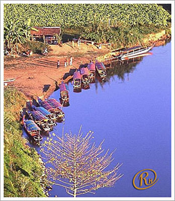 The River House Resort and Spa Chiang Rai