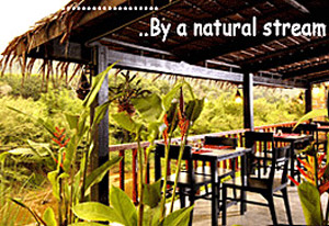 Motive Cottage Resort Khao Lak