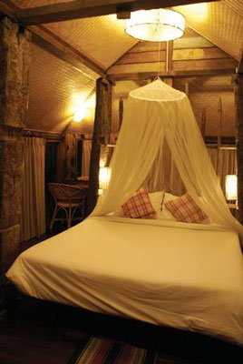 Fern Paradise Hotel Chiang Mai Room Picture