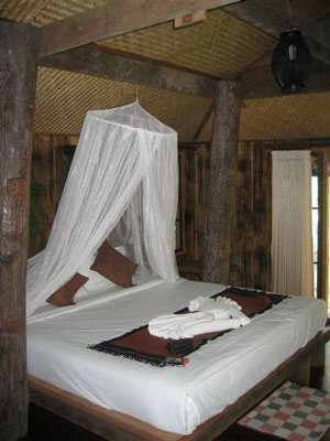 Fern Paradise Hotel Chiang Mai Room Picture