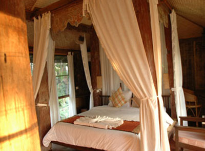 Fern Paradise Hotel Chiang Mai Room Picture