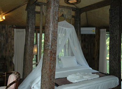 Fern Paradise Hotel Chiang Mai Room Picture