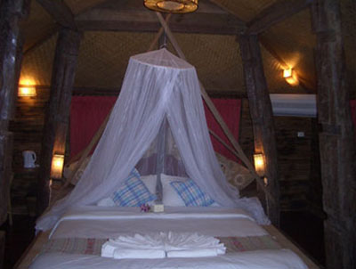 Fern Paradise Hotel Chiang Mai Room Picture