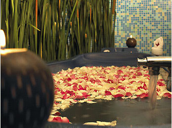 Pullman Khon Kaen Raja Orchid Hotel Spa Picture