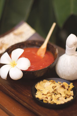 Baan Haad Ngam Boutique Resort Koh Samui